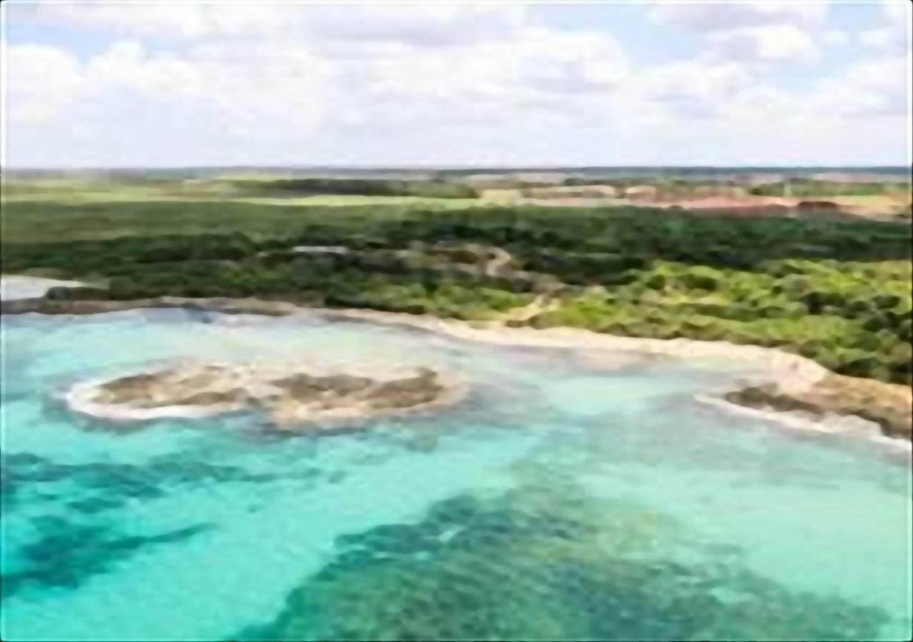 Villa Casa Magnolia Montalbano  Esterno foto